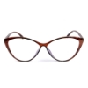 Picture of Cat Eye Glasses