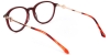 Picture of Oval Acetate+Metal Red Glasses