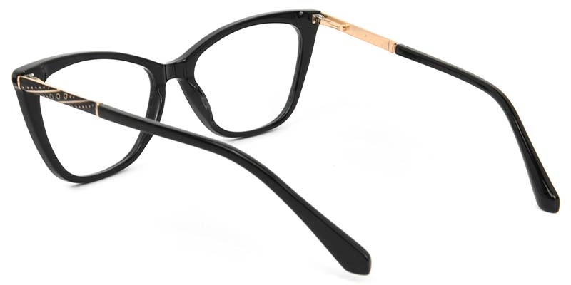 Picture of Cat Eye Acetate+Metal Black Glasses