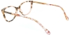 Picture of Cat Eye Acetate+Metal Muticolor Glasses