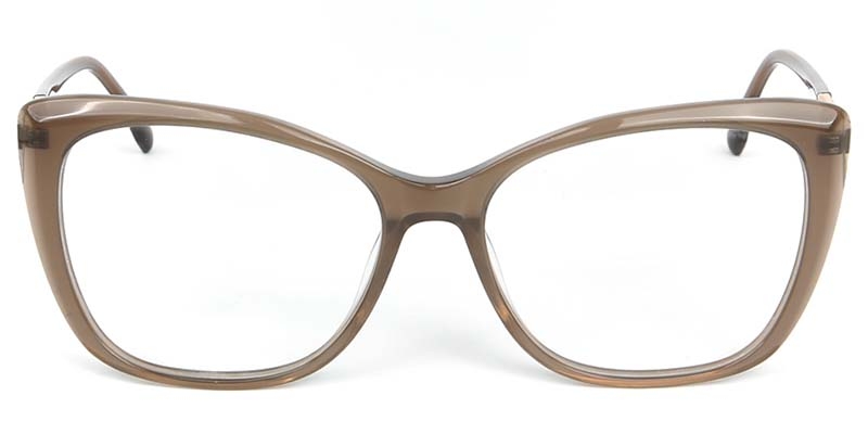Picture of Cat Eye Acetate+Metal Brown Glasses