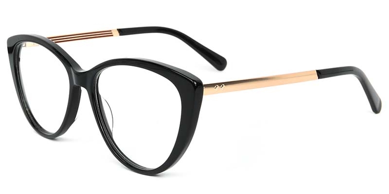 Picture of Cat Eye Acetate+Metal Black Glasses