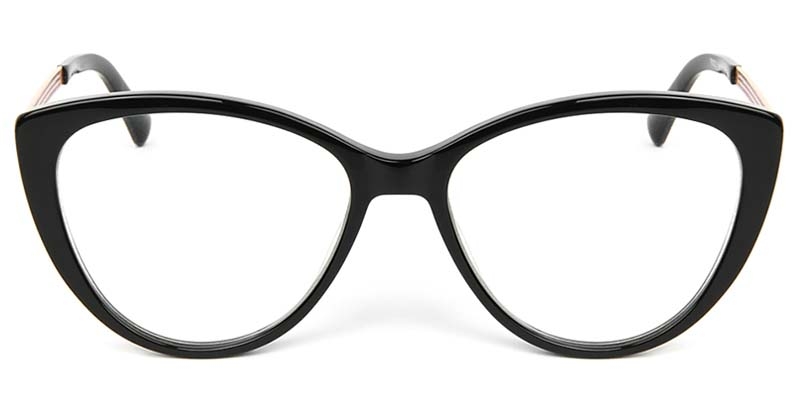 Picture of Cat Eye Acetate+Metal Black Glasses