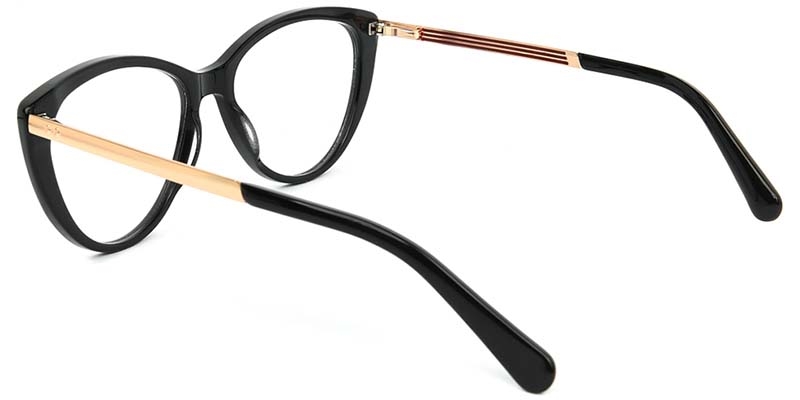 Picture of Cat Eye Acetate+Metal Black Glasses