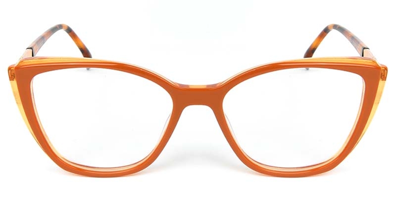 Picture of Cat Eye Acetate+Metal Orange Glasses
