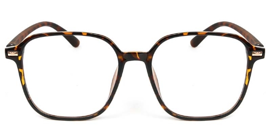 Square TR90 Tortoiseshell Glasses