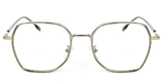 Geometric TR+Metal Gray Glasses