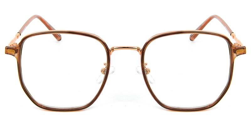 Picture of Geometric TR+Metal Brown Glasses