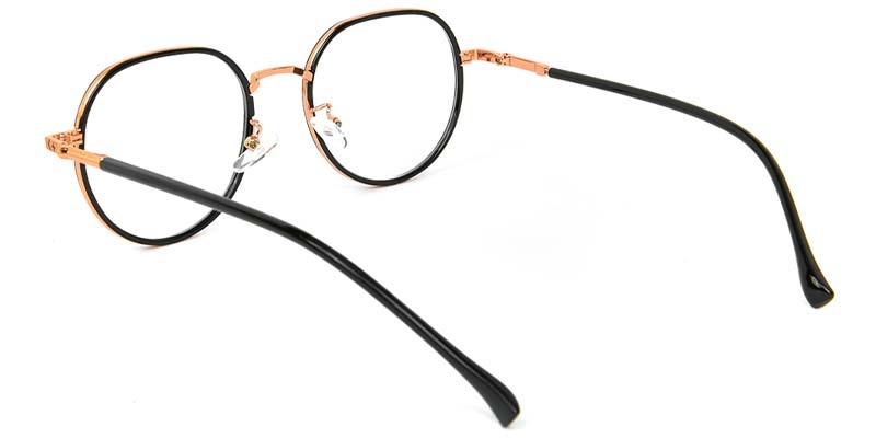 Picture of Geometric TR+Metal Black Glasses