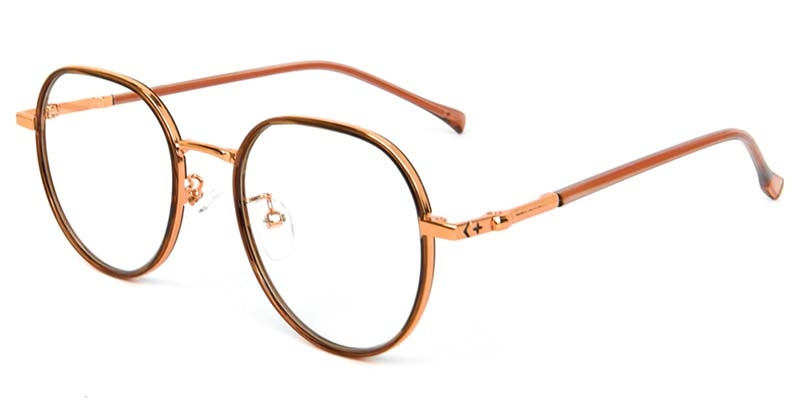 Picture of Geometric TR+Metal Brown Glasses