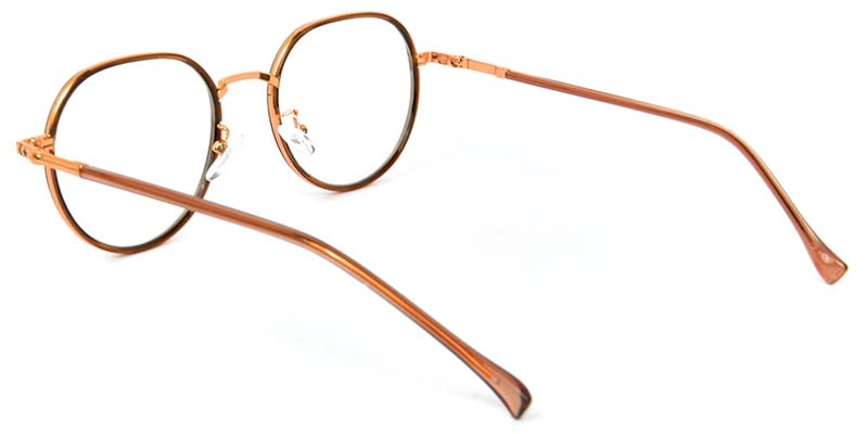 Picture of Geometric TR+Metal Brown Glasses