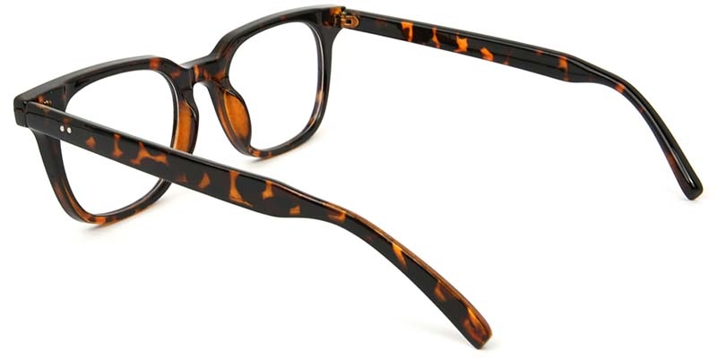 Picture of Rectangle Tortoiseshell Glasses