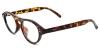 Picture of Oval Tortoiseshell Glasses