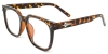 Picture of Square Tortoiseshell Glasses