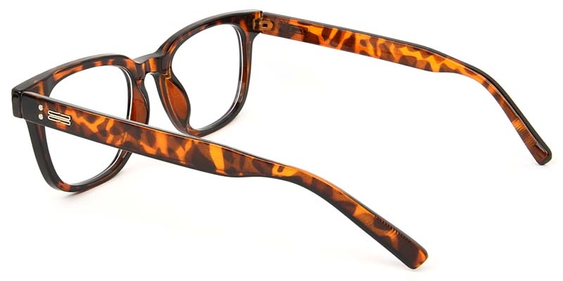 Picture of Square Tortoiseshell Glasses