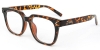 Picture of Square Tortoiseshell Glasses