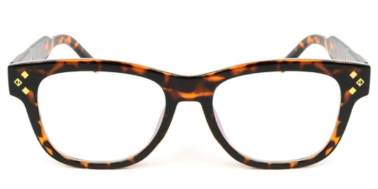 Rectangle Tortoiseshell Glasses