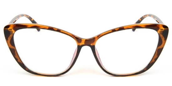 Cat Eye Tortoiseshell Glasses