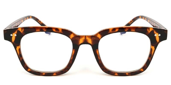Browline Tortoiseshell Glasses