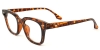 Picture of Browline Tortoiseshell Glasses