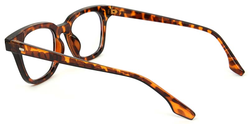 Gideon Glasses Tortoise