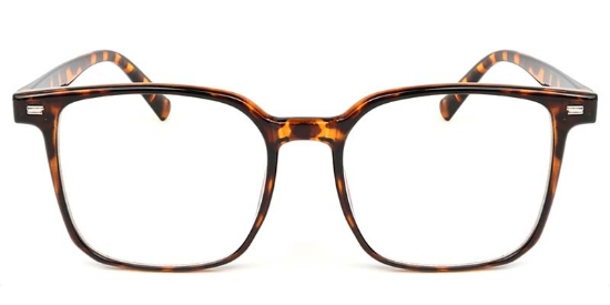 Square Tortoiseshell Glasses