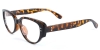 Picture of Cat Eye Tortoiseshell Glasses