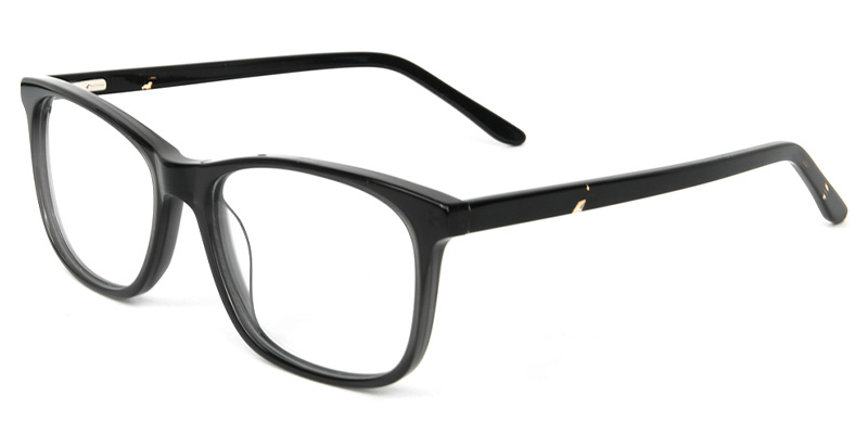 Haze​ Glasses Black_Transparent