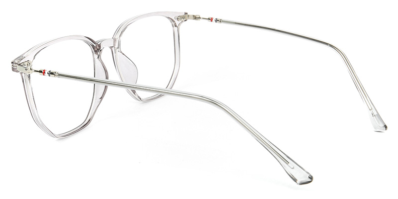 Surge​ Glasses Transparent_Gray