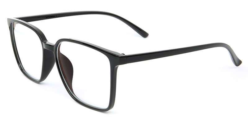 Niche​ Glasses Black