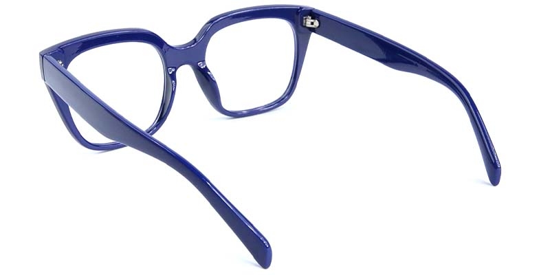 Picture of Browline Blue Glasses