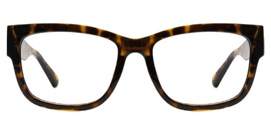 Dell Glasses