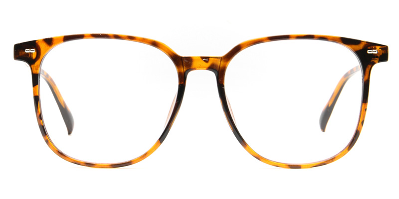 Kael Glasses Tortoise