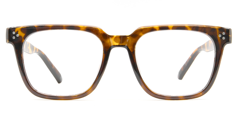 Owen Glasses Tortoise