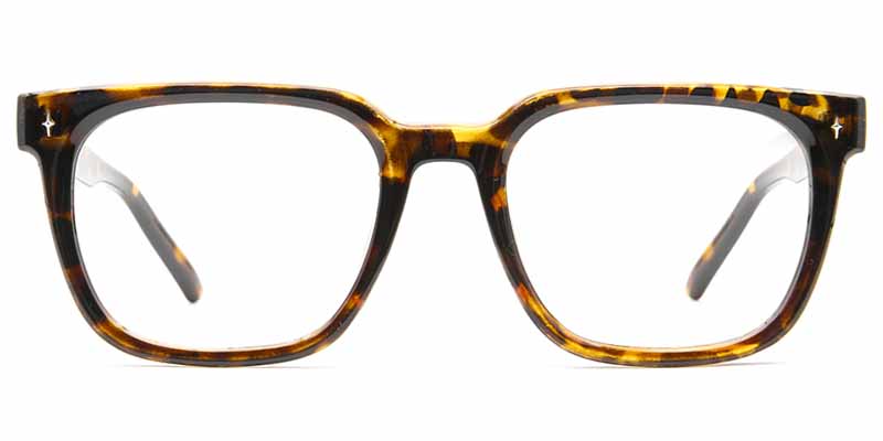 Tess Glasses Tortoise