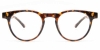 Picture of Tara Glasses