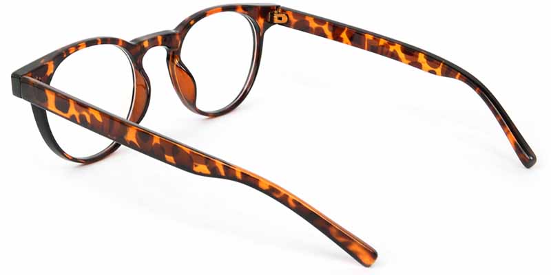 Tara​ Glasses Tortoise