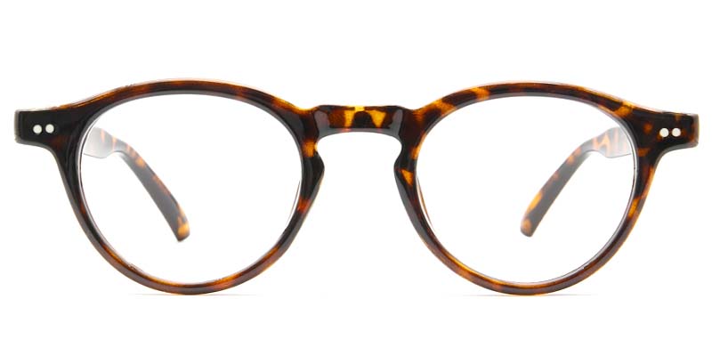 Zara Glasses Tortoise