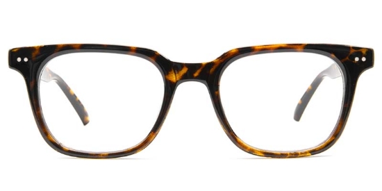 Avery Glasses
