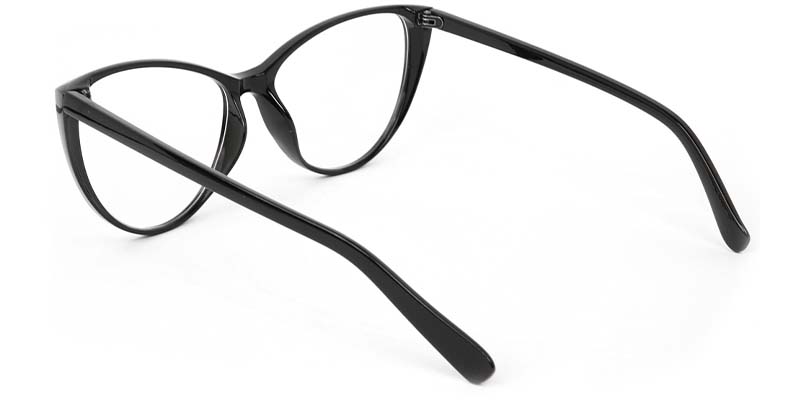 Zane​ Glasses Black