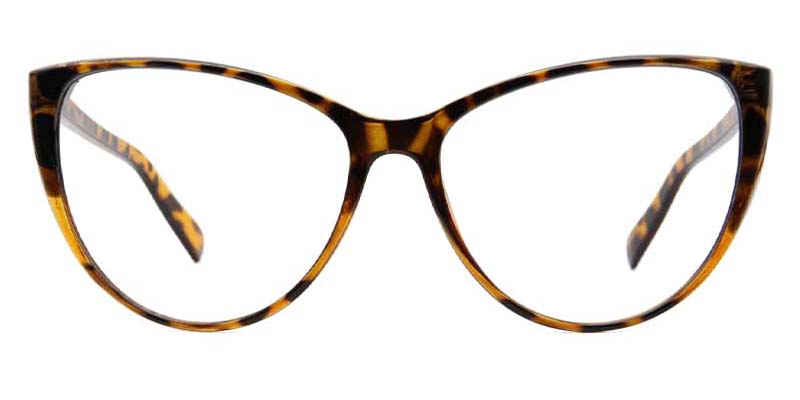 Zane Glasses Tortoise