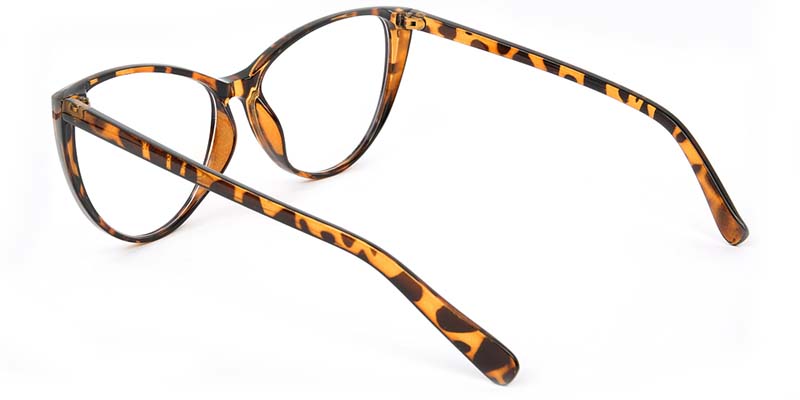 Zane​ Glasses Tortoise