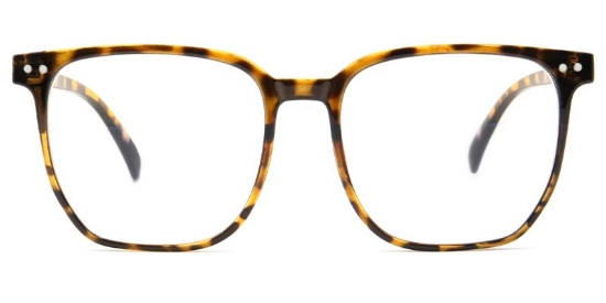 Soren Glasses