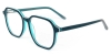 Picture of Fern Glasses
