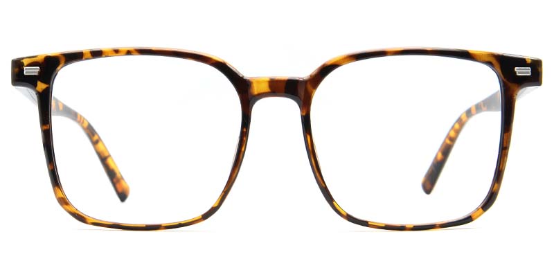Ivor Glasses Tortoise