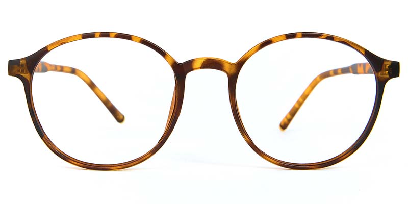 Biscuit Glasses Tortoise