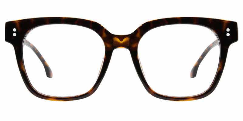 Haven Glasses Tortoise