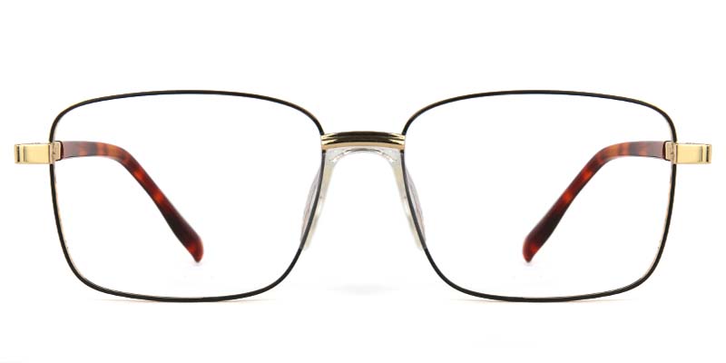 Birch Glasses Gold_Tortoise