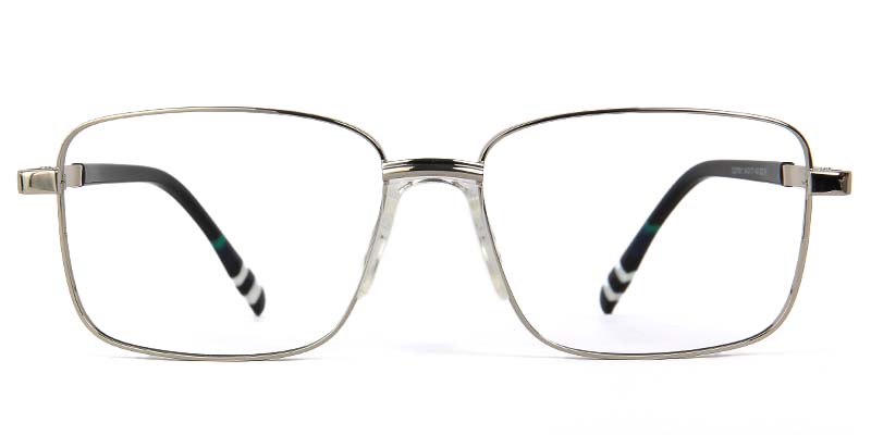 Birch Glasses Silver