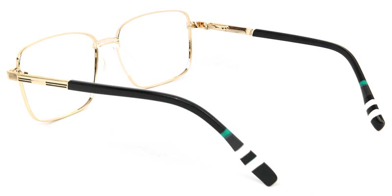 Birch​ Glasses Gold_Black